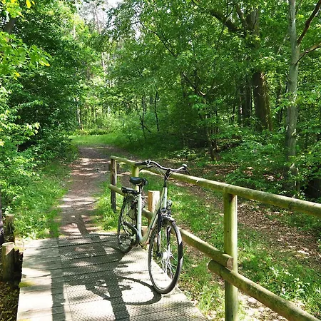 Heidehof Carstens - Ginster Apartamento Eimke