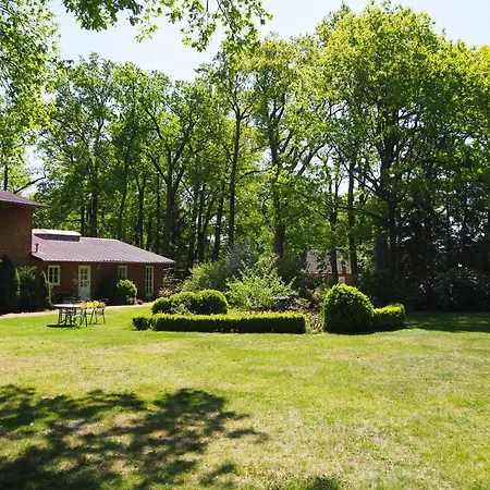 Heidehof Carstens - Ginster