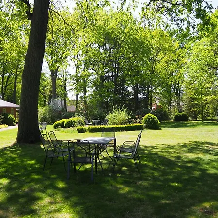 Heidehof Carstens - Ginster *