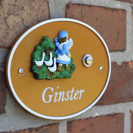 Heidehof Carstens - Ginster Apartamento Eimke